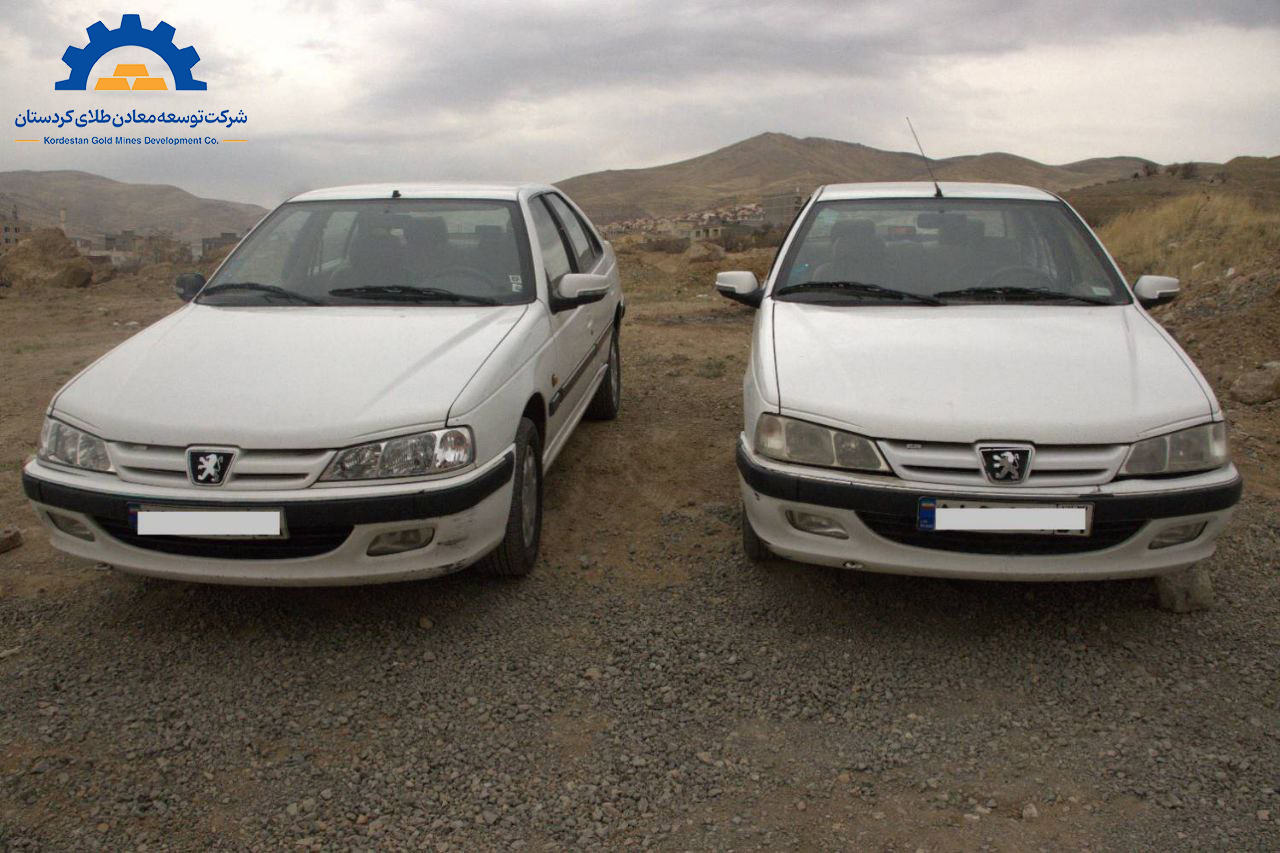 Public auction sales of two Peugeot Pars passenger cars